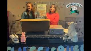 Small Pet Select Haul 4/4/2024