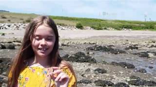 Camping Falaise sur mer dans Charlevoix (Version Famille)