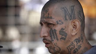 SALVADORENOS NO MORE MS & 18 YOU'RE ISRAELITES!!!