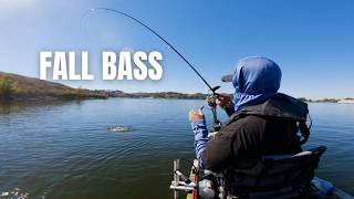 How to find active bass during fall (California)