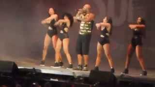 Flo Rida - Good Feeling at B96 Summer Bash 2015