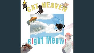 Cat Heaven