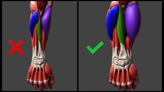 Only 5 Dumbbell Exercises You Need to Grow Massive Forearms | How To Grow Huge Forearms