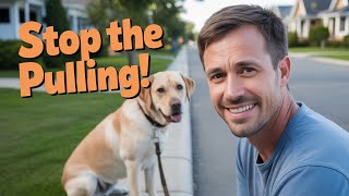 ⭐Why Teaching Your Dog to Sit is So Important