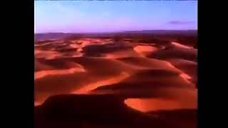 (LAST VIDEO OF JANUARY 2026) [adult swim] - Family Guy Forever Promo (2003)