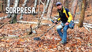 Minelab Manticore: Hunting for lost history in the woods! 🌲