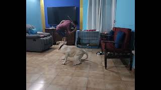 TUFFY & TEERA TALES 002