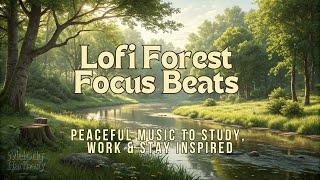 Lofi Forest Focus Beats – Peaceful Music to Study, Work & Stay Inspired