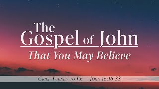 The Gospel of John | Grief Turned to Joy | Dr. Rick Mandl