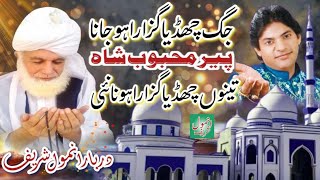 Tenu Chadhyain Guzara | Shermiandad | Jag Chadhyain | Punjabi | Qawwali | Pir Syed Mehboob Hussain