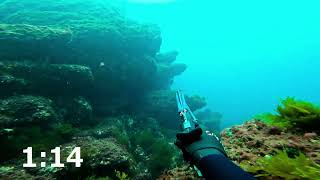 Spearfishing  "SigalSub Nemesis One  Carbon PRO 104 & SigalSub Extreme 19mm Rubber "