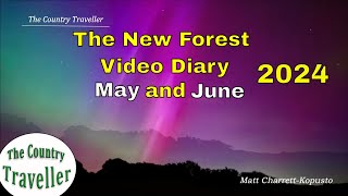 See The New Forest Video Diary - May June 2024  #NewForestvideodiary