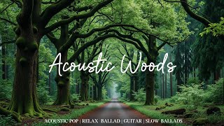 Acoustic Chill Indie Folk Playlist Nature Serenity Best Relaxing Study Sleep Music