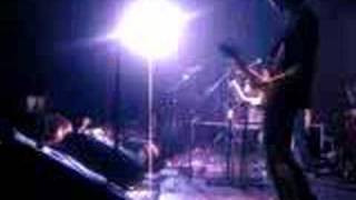 polyester embassy - the answer is no