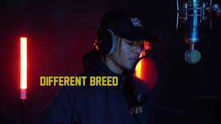 Different Breed Live Performance