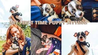 weekend in my life + my first time puppy sitting!