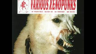 B2. Audino - Venus Flytrap [LESPOINTS 011]