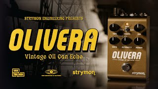 Strymon Olivera Oil Can Echo
