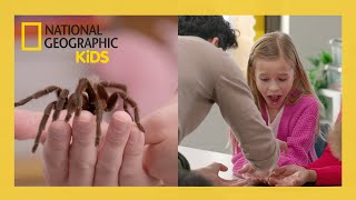 Kids REACT to REAL Bugs | A Real Bug's Life S2 | @natgeokids