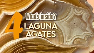 4 Laguna Agates That Redefine Perfection 🔥 Nature’s Masterpieces on Display