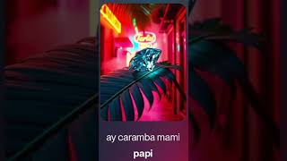 DIMITRI TRUMP - papi