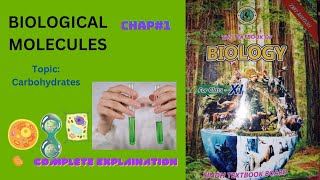 class11_topic _Carbohydrate_most imp topic