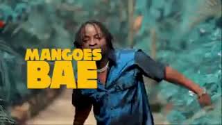 Mango tree - Barbi Jay (Official lyrics video)