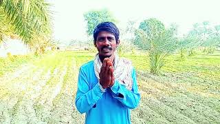 Fanny pakistani sindhi comady mazaeya vedeo