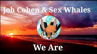 Awaken Music: Joh Cohen & Sex Whales - We Are (NCS)