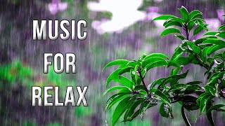 1 Hour of The Sound of Rain For Stress Relief, Meditation, Sleeping, Dreamingand Spa Relaxing Music.