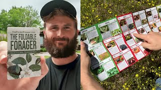 The Foldable Forager: 💡 Your (Wallet-Sized) Foraging Guide!