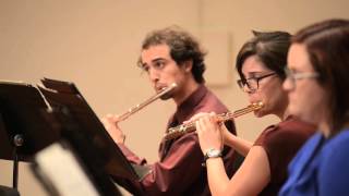 CSUN Symphony Chamber Orchestra, Mehran Tebyani: Conductor