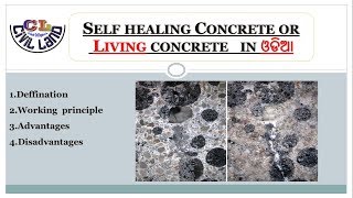 self healing concrete or Living Concrete