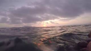 Salida de pesca submarina en verano con humor