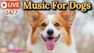 🔴Dog Music🎵🐶Calming Music for Dogs🐶💖Ease Separation Anxiety💖🦮Sleep Music for Dogs🔴5