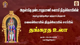 தைப்பூசத்திருவிழா - 2025  தங்கதேர் உலா