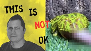 This video really made me mad....Stop treating animals like this (Rant)