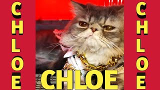 dj chloe fun