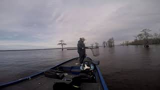 March Bass Fishing Eastern NC 2021