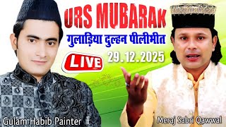 🔴 Live Qawwali - Gulam Habib Painter Vs Dilbar Meraj Sabri Qawwal - gulariya dulhan Pilibhit Up