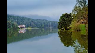Calm Your Mind 🌿 Relaxing Nature Visuals with Soothing Background Music