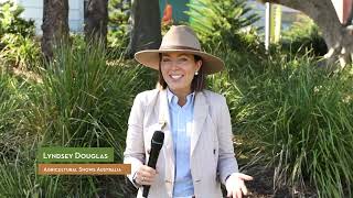 Meet Lyndsey Douglas