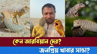 কেন আরবিয়ান দের জনপ্রিয় খাবার সান্ডা?New video 2025 #bdsonelifestyle #trending