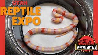 UTAH REPTILE EXPO - SHOW ME REPTILES