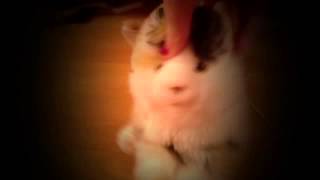 Break My Mind WMV preview