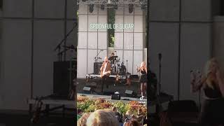 The Verve Pipe, Meijer Gardens 7-24-2021