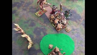 513 Beast Herds vs Highborn Elves - a 4500 pt T9A Battle Report