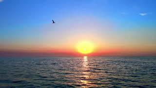 8 HOURS of Meditation Relaxing Music For  Deep Sleeping, Inner Peace, Healing and Stress Relief