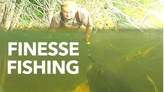 FINESSE FISHING