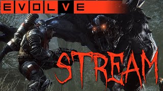 EVOLVE STREAM UM 20H